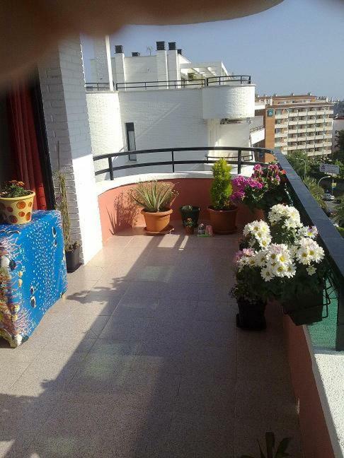Ferienwohnung Atico Louis Braille Salou Exterior foto